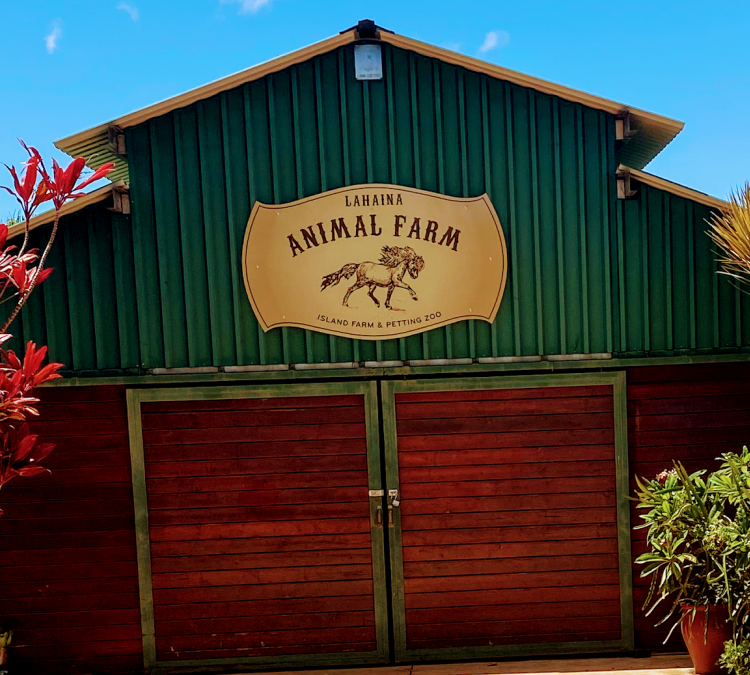 lahaina-animal-farm-petting-zoo-photo